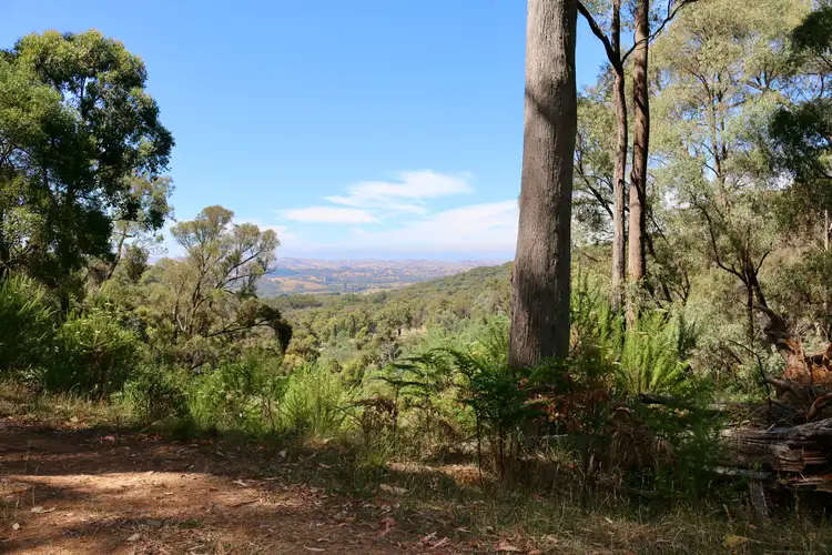 Second view of Homely rural property listing, 1/1497 Yarck Road, Gobur VIC 3719