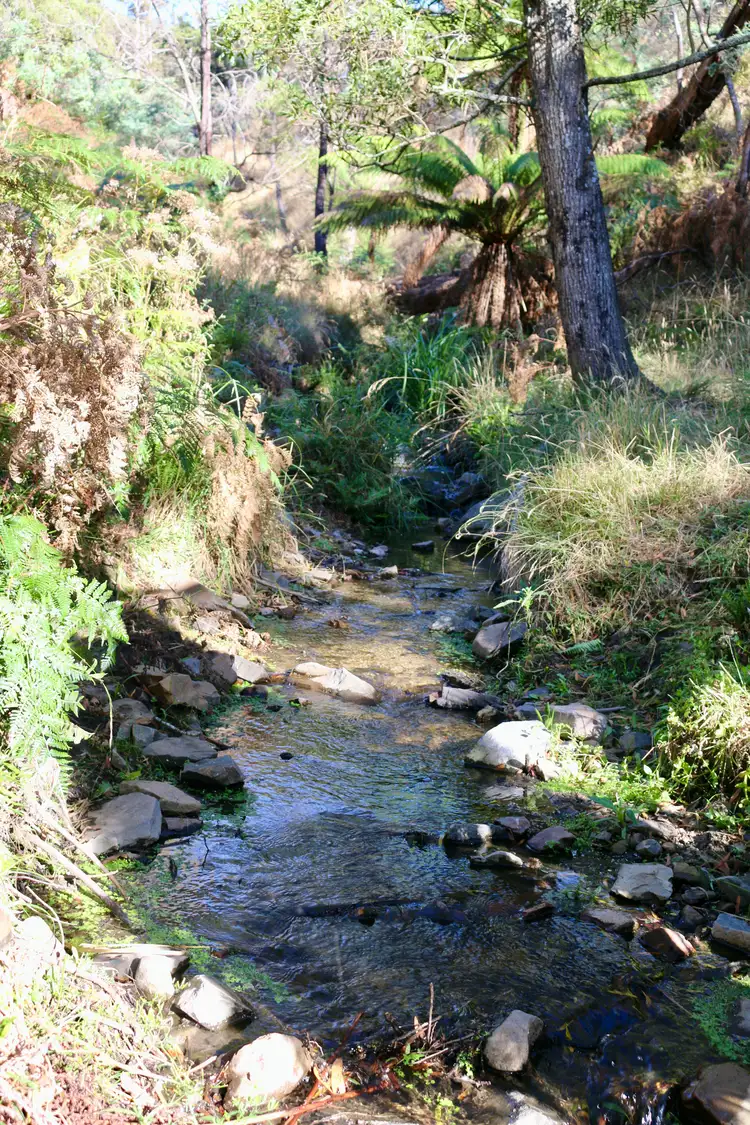 Third view of Homely rural property listing, 1/1497 Yarck Road, Gobur VIC 3719