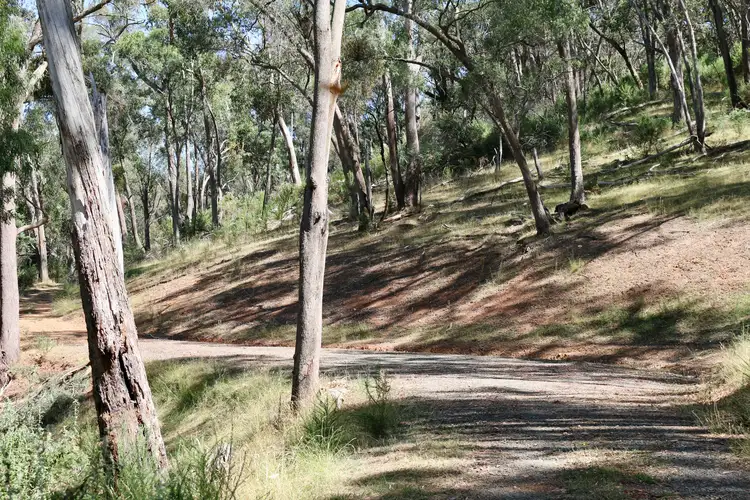 Sixth view of Homely rural property listing, 1/1497 Yarck Road, Gobur VIC 3719