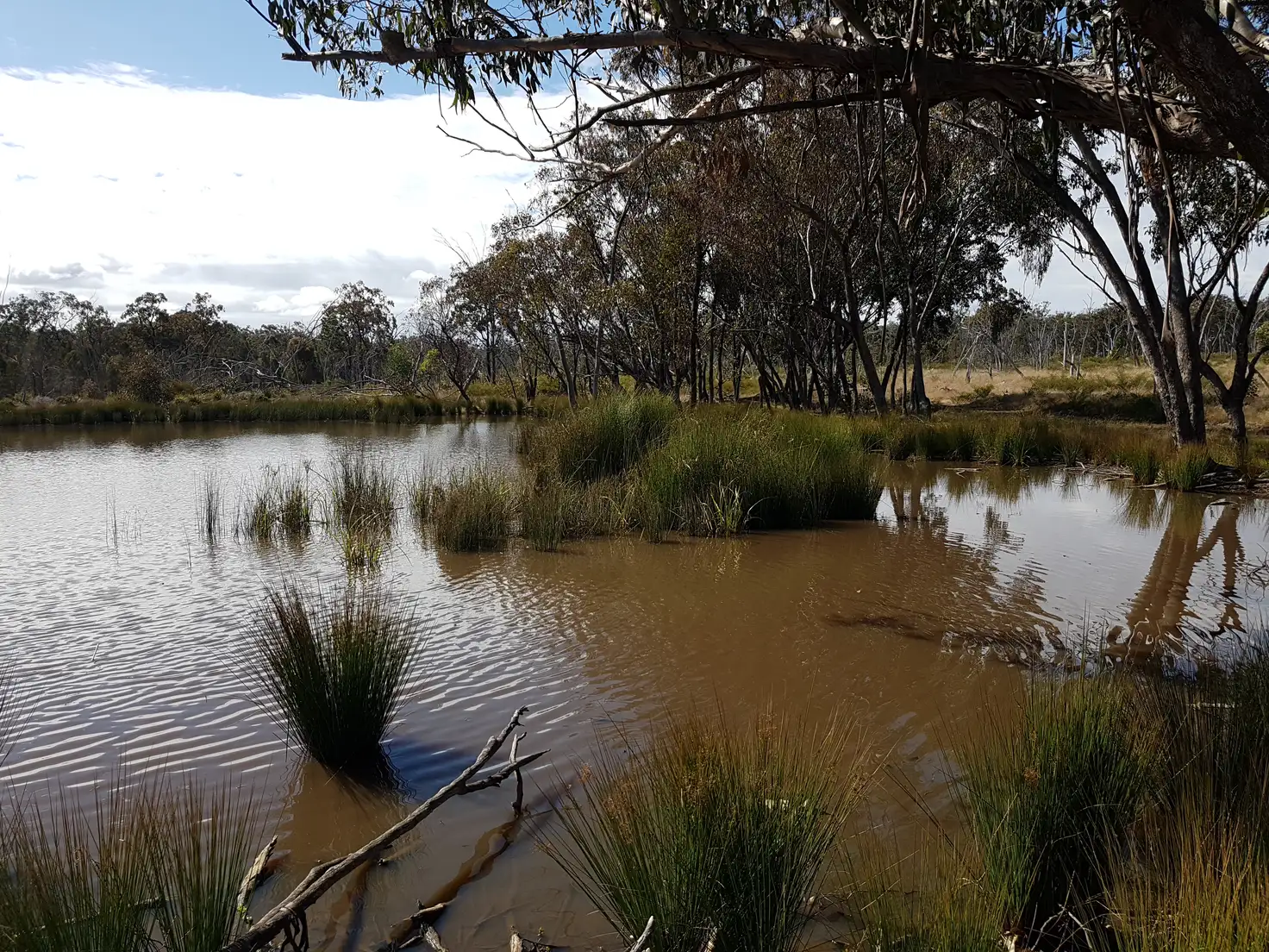 Main view of Homely rural property listing, Lot 28 Mosquito Creek Road, Mosquito Creek QLD 4387