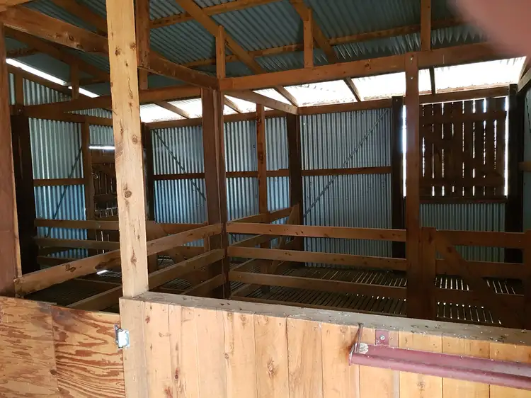 Sixth view of Homely rural property listing, Lot 28 Mosquito Creek Road, Mosquito Creek QLD 4387
