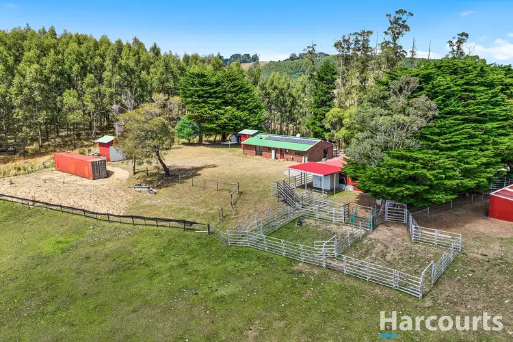 Second view of Homely rural property listing, 148 Allmans Road, Trida VIC 3953