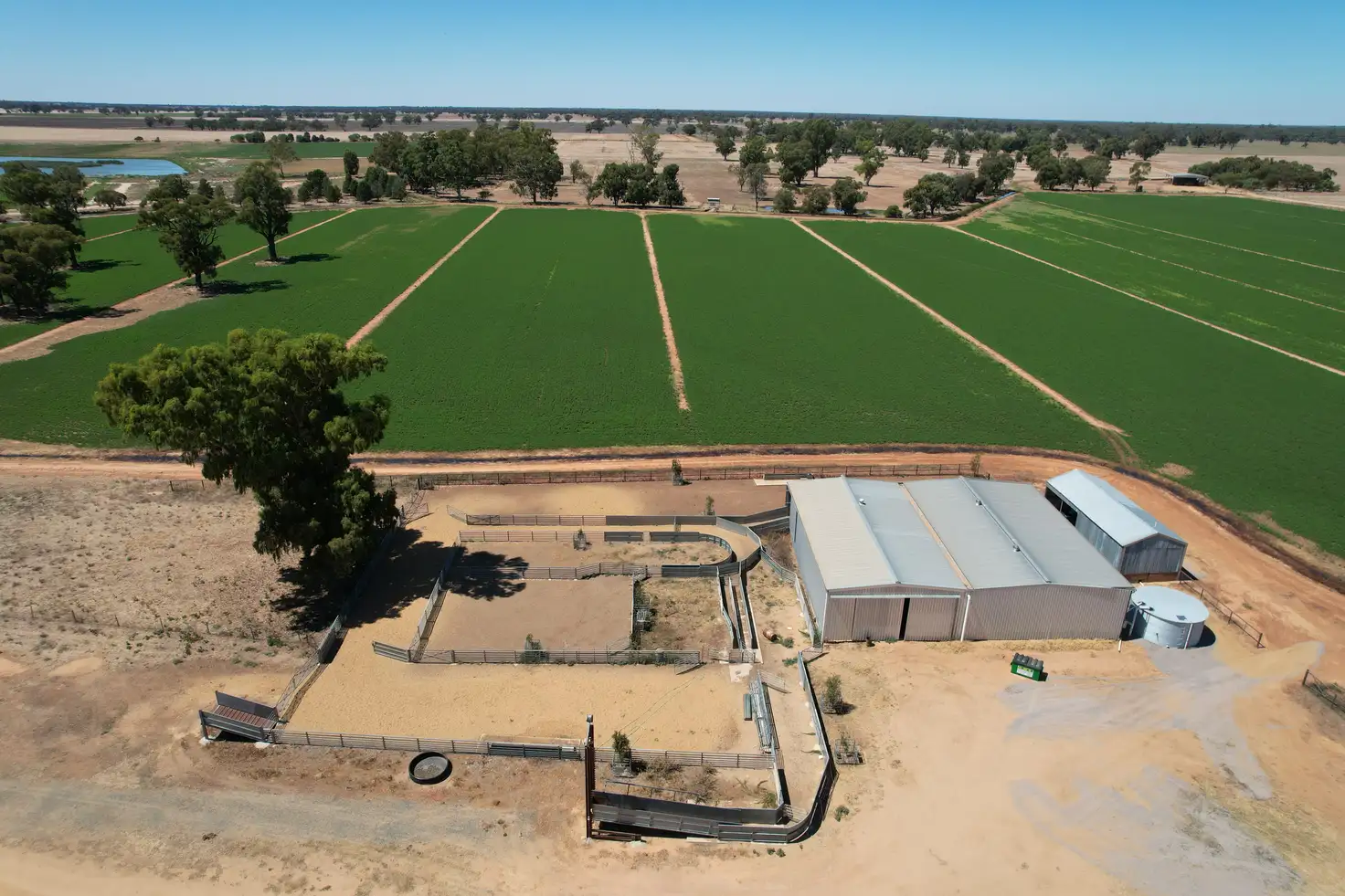 Main view of Homely rural property listing, Boundary Park Middleton Road, Deniliquin NSW 2710