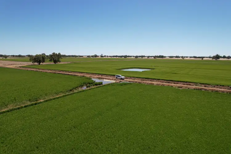 Sixth view of Homely rural property listing, Boundary Park Middleton Road, Deniliquin NSW 2710