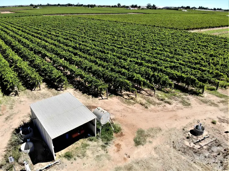 . Cowanna Avenue, Merbein South VIC 3505