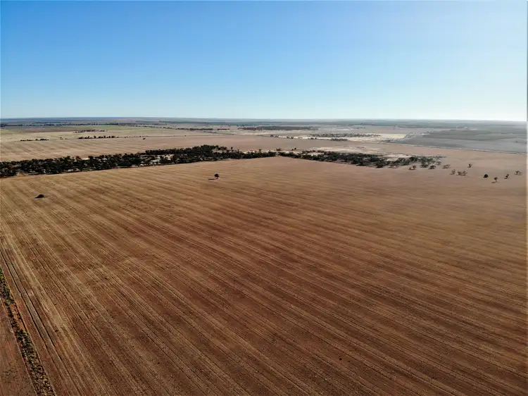Seventh view of Homely rural property listing, . Werrimull North Road, Cullulleraine VIC 3496