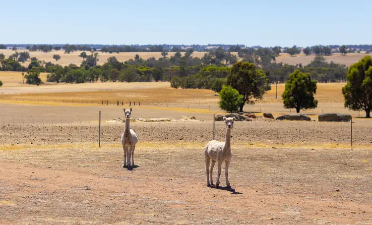 Sixth view of Homely rural property listing, Lot 1443 Playle Road, Williams WA 6391