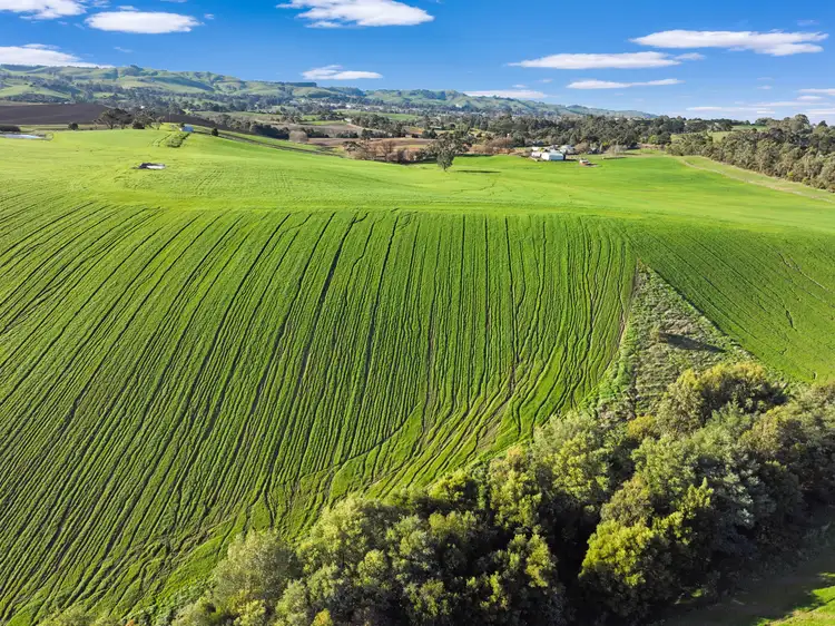 Third view of Homely rural property listing, 20 Harris Road, Korumburra VIC 3950