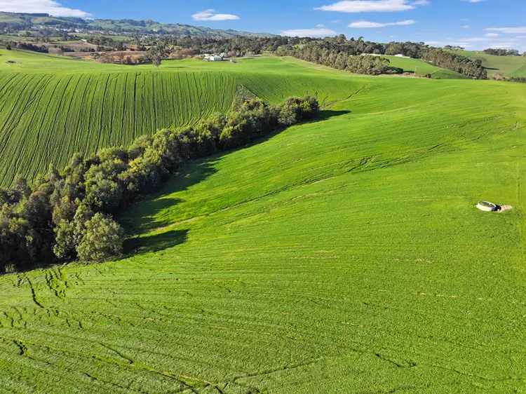 Fourth view of Homely rural property listing, 20 Harris Road, Korumburra VIC 3950