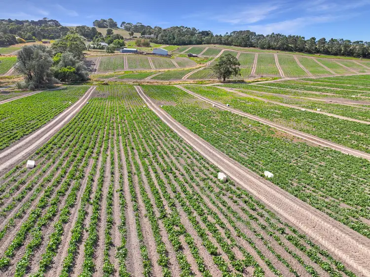Fifth view of Homely rural property listing, 20 Harris Road, Korumburra VIC 3950