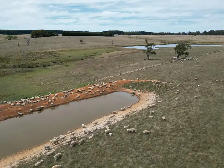 Fifth view of Homely rural property listing, Lot 1 & 2/2566 Portland - Casterton Road, Hotspur VIC 3303