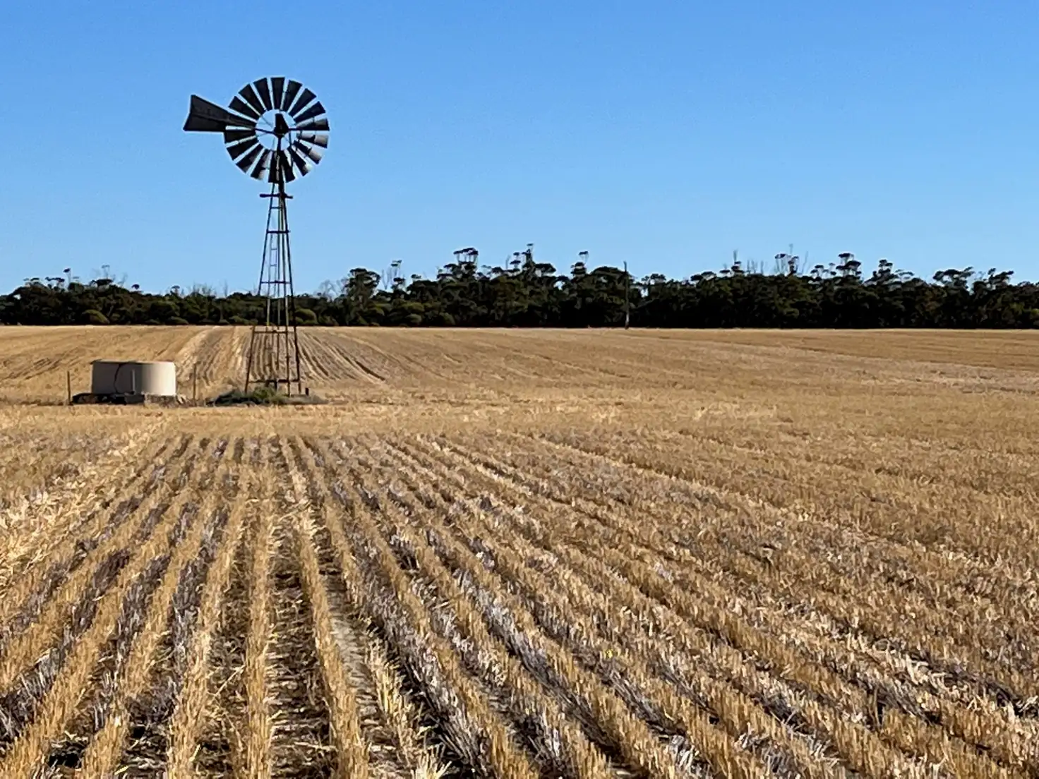 Main view of Homely rural property listing, . 'Charm Hill', Dowerin WA 6461