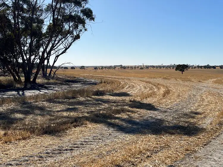Fifth view of Homely rural property listing, . 'Charm Hill', Dowerin WA 6461