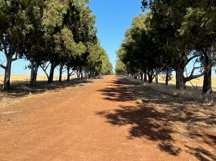 Sixth view of Homely rural property listing, . 'Charm Hill', Dowerin WA 6461