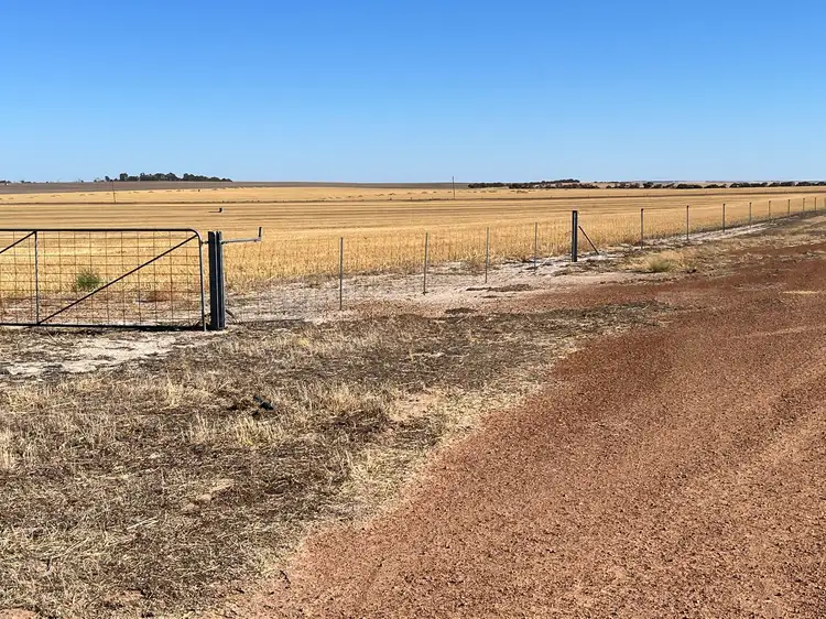 Seventh view of Homely rural property listing, . 'Charm Hill', Dowerin WA 6461