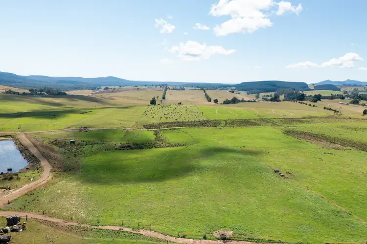 Fourth view of Homely rural property listing, 42 Main Street, Winnaleah TAS 7265