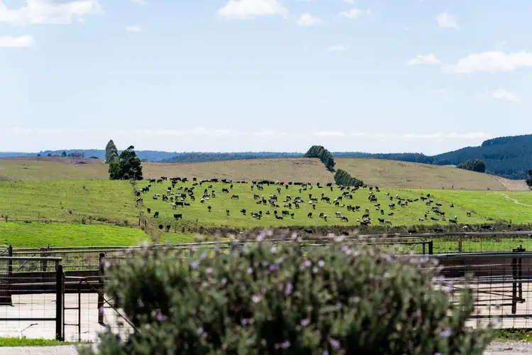 Fifth view of Homely rural property listing, 42 Main Street, Winnaleah TAS 7265