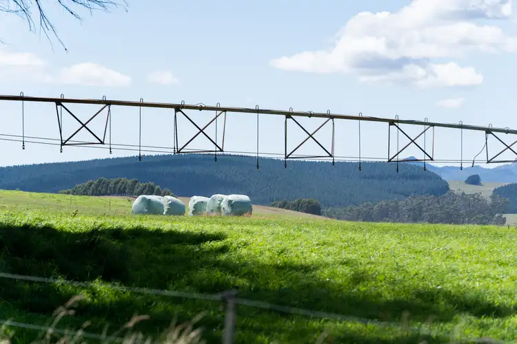 Seventh view of Homely rural property listing, 42 Main Street, Winnaleah TAS 7265