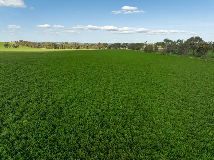 Third view of Homely rural property listing, 1449 Yerong Creek Mangoplah Road, Yerong Creek NSW 2642