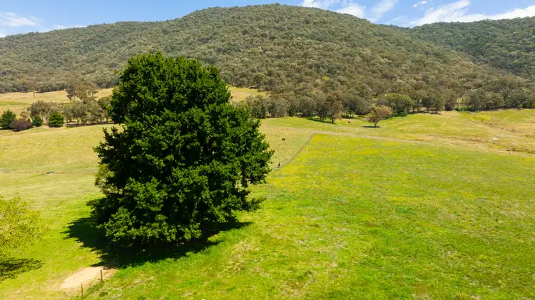 Seventh view of Homely rural property listing, 123 Hindleton Road, Bullioh VIC 3700