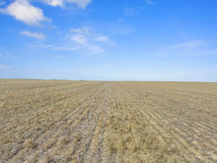 Main view of Homely rural property listing, Sect. 24 Spencer Highway, Wauraltee SA 5573