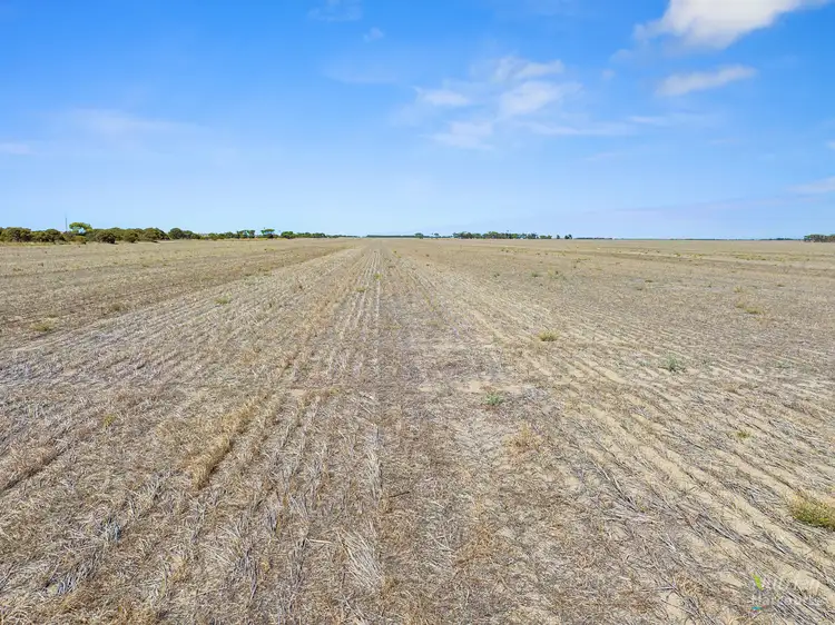 Fourth view of Homely rural property listing, Sect. 24 Spencer Highway, Wauraltee SA 5573