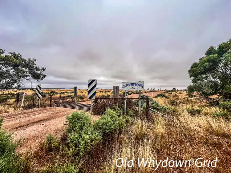 Main view of Homely rural property listing, Munelta Station, Nackara SA 5440