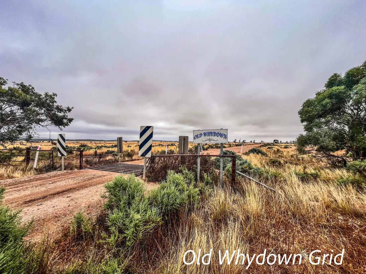 Main view of Homely rural property listing, Munelta Station, Nackara SA 5440