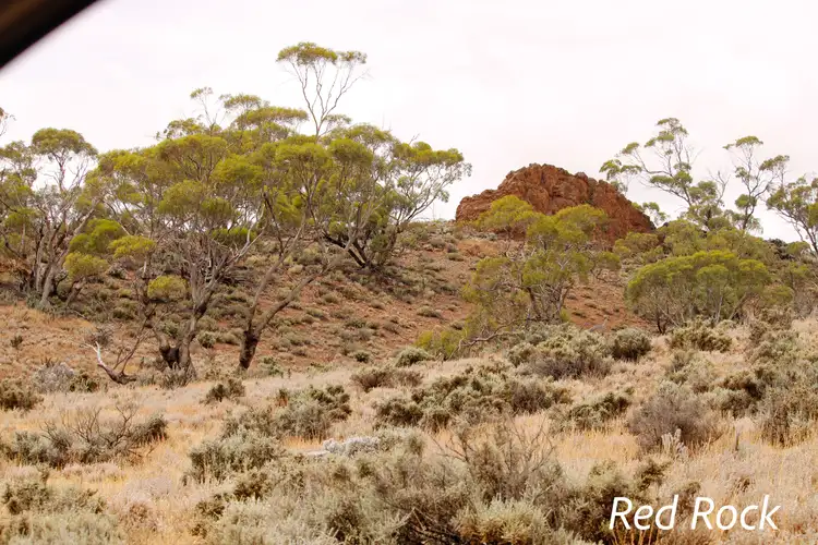 Fourth view of Homely rural property listing, Munelta Station, Nackara SA 5440