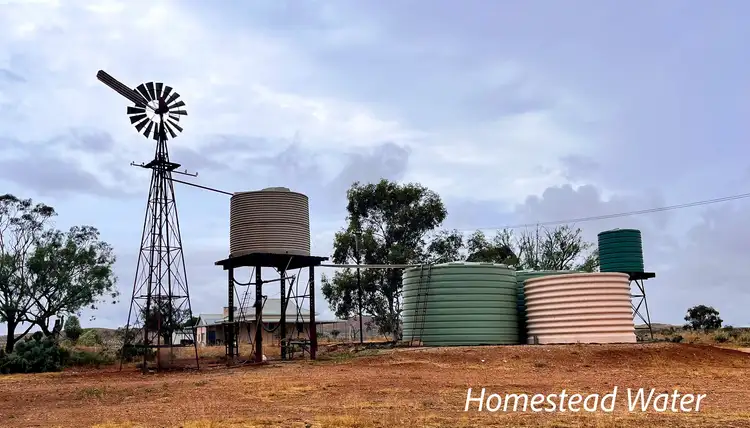 Fifth view of Homely rural property listing, Munelta Station, Nackara SA 5440