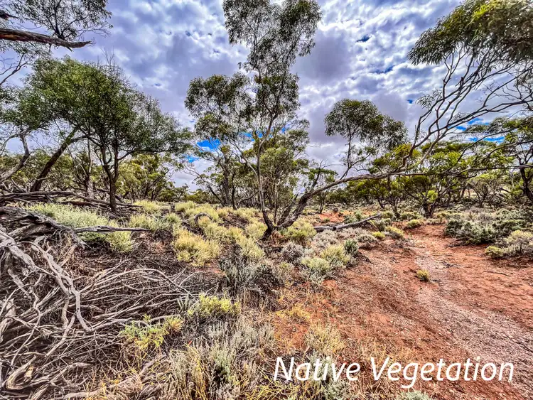 Seventh view of Homely rural property listing, Munelta Station, Nackara SA 5440