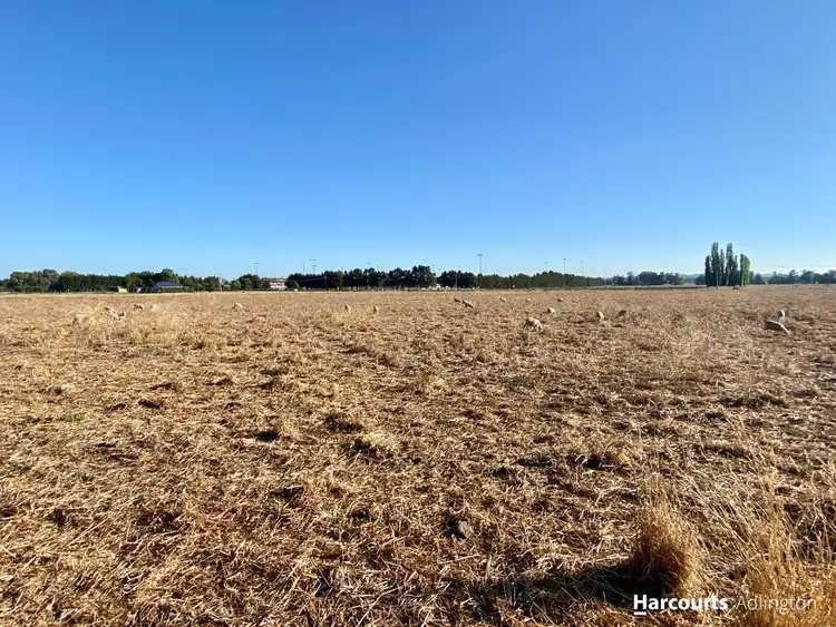 Sixth view of Homely rural property listing, 31 Pitts Lane Putta Bucca, Mudgee NSW 2850