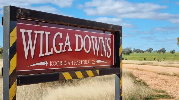 Third view of Homely rural property listing, Wilga Downs Yarrandale Rd, Hermidale NSW 2831