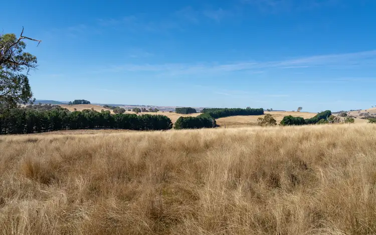 Second view of Homely rural property listing, 371 Caloola Road, Bathurst NSW 2795