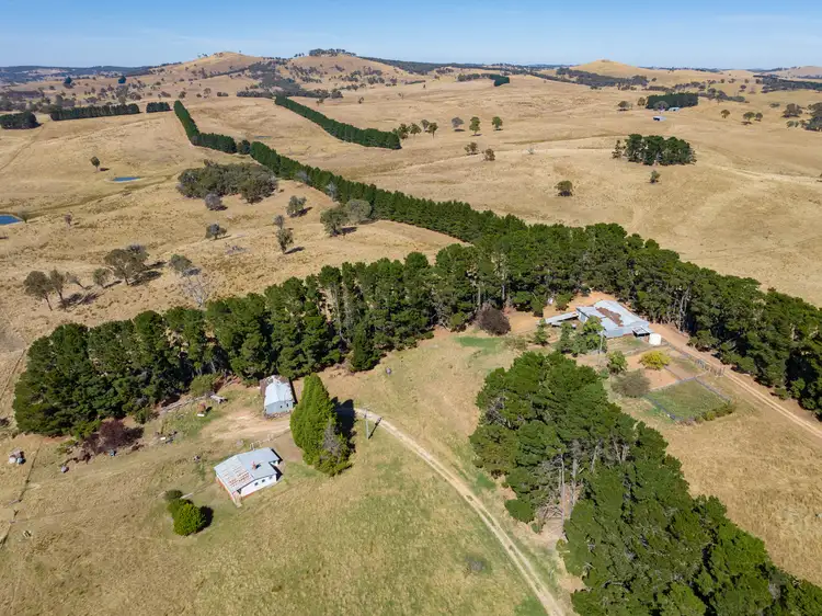 Fourth view of Homely rural property listing, 371 Caloola Road, Bathurst NSW 2795