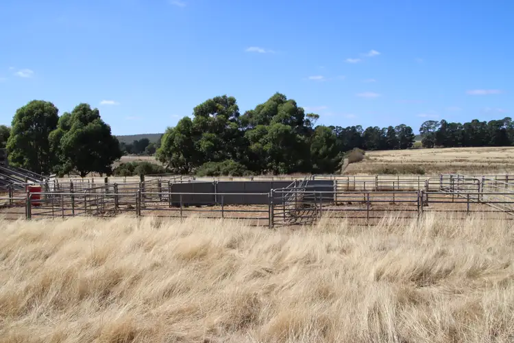 Sixth view of Homely rural property listing, . Linton-Mannibadar Road, Linton VIC 3360