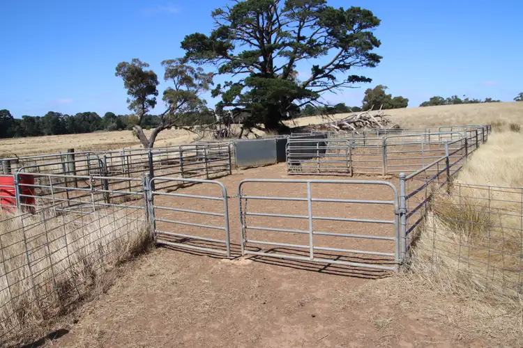 Seventh view of Homely rural property listing, . Linton-Mannibadar Road, Linton VIC 3360