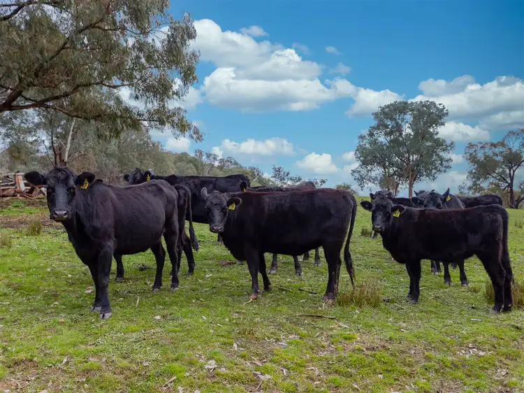 Second view of Homely rural property listing, 1520 Banksdale Road, Hansonville VIC 3675