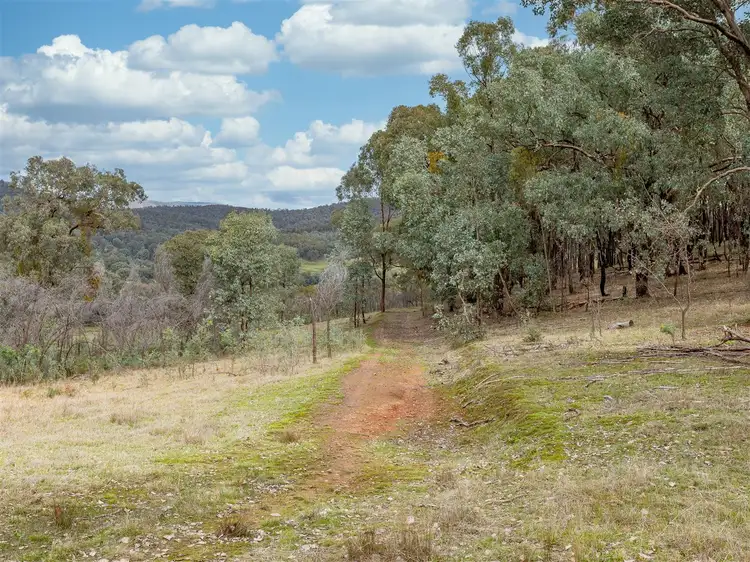 Fifth view of Homely rural property listing, 1520 Banksdale Road, Hansonville VIC 3675