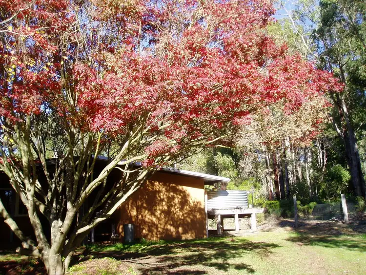 Fourth view of Homely rural property listing, 538 Yanmah Road, Yanmah WA 6258