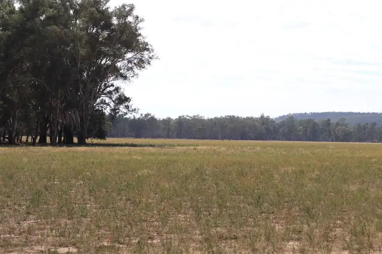 Main view of Homely rural property listing, 1 Corridgery Road, Forbes NSW 2871