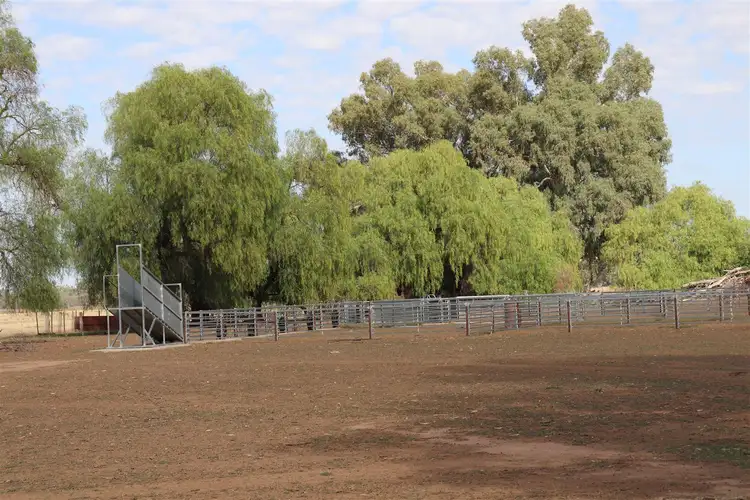 Seventh view of Homely rural property listing, 1 Corridgery Road, Forbes NSW 2871