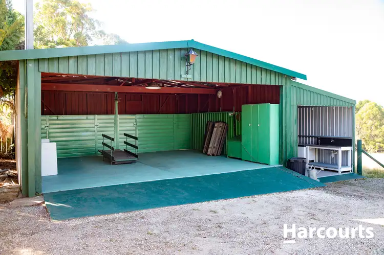 Fifth view of Homely house listing, 125 Wadleys Road, Reedy Marsh TAS 7304