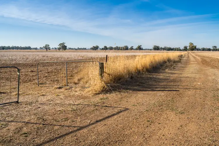 Third view of Homely rural property listing, 360 Thomas Road, Stewarton VIC 3725