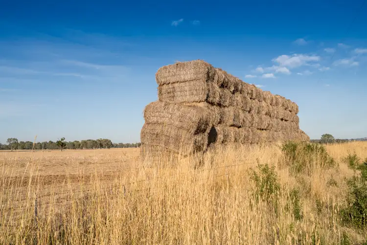 Fourth view of Homely rural property listing, 360 Thomas Road, Stewarton VIC 3725