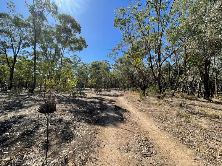 Seventh view of Homely rural property listing, 0 Carapooee Road, St Arnaud East VIC 3477
