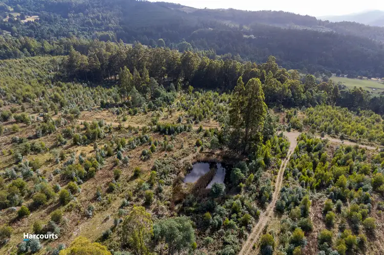 Lot 3 Paddys Lane, Franklin TAS 7113