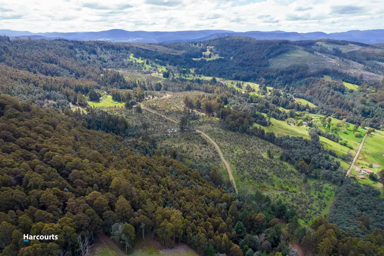Lot 4 Paddys Lane, Franklin TAS 7113