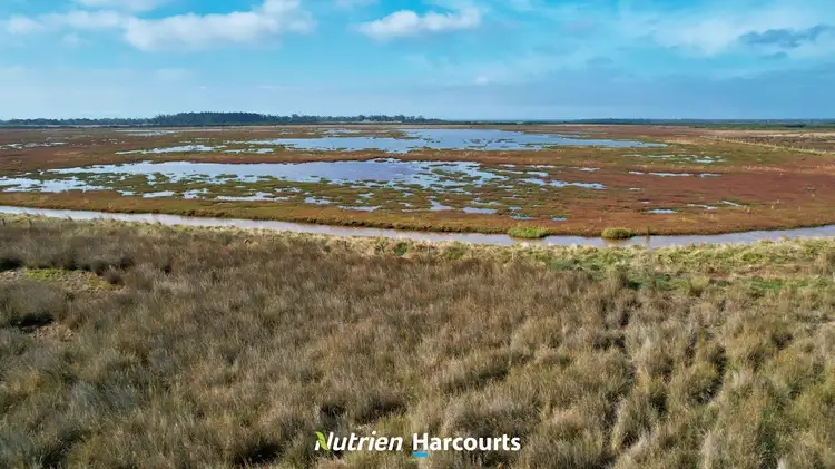 Seventh view of Homely rural property listing, 8102 South Gippsland Highway, Alberton VIC 3971