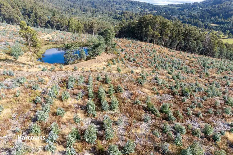 Second view of Homely land listing, Lot 9 Paddys Lane, Franklin TAS 7113